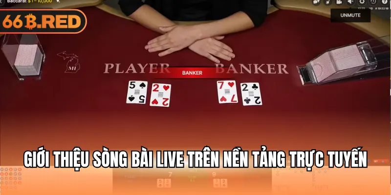 Giới thiệu sòng bài live trên nền tảng trực tuyến