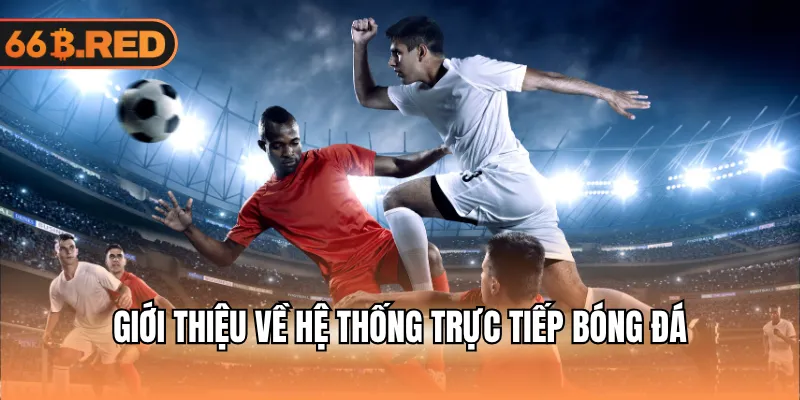 Giới thiệu về hệ thống trực tiếp bóng đá