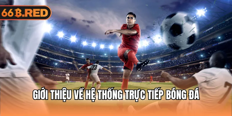 Phân tích dữ liệu và hỗ trợ người xem trực tiếp bóng đá